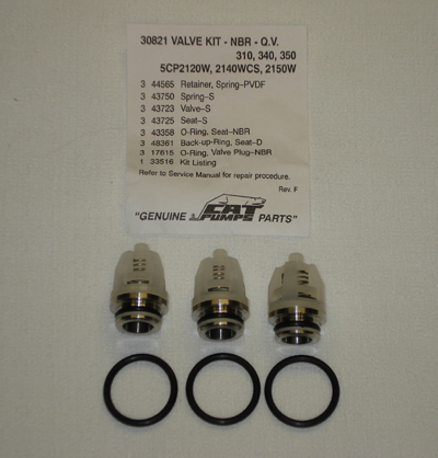 VALVE KIT FOR CAT PUMP